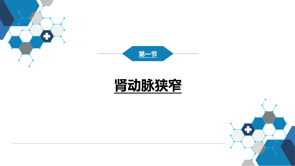 肾内科：肾血管疾病_第3页