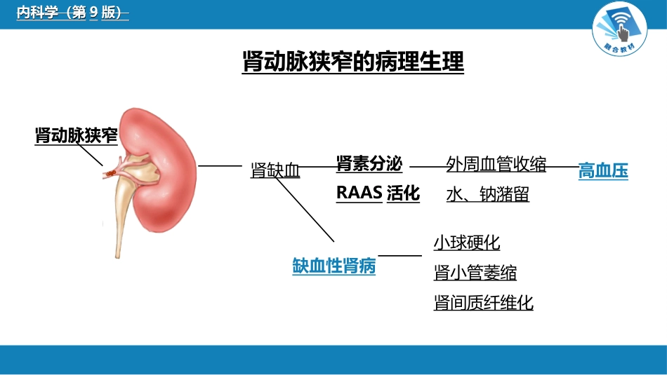 肾内科：肾血管疾病_第6页