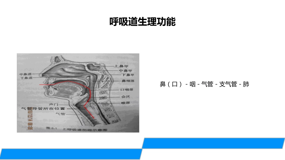 气管切开的护理_第3页