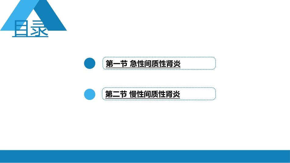 肾内科：间质性肾炎_第2页