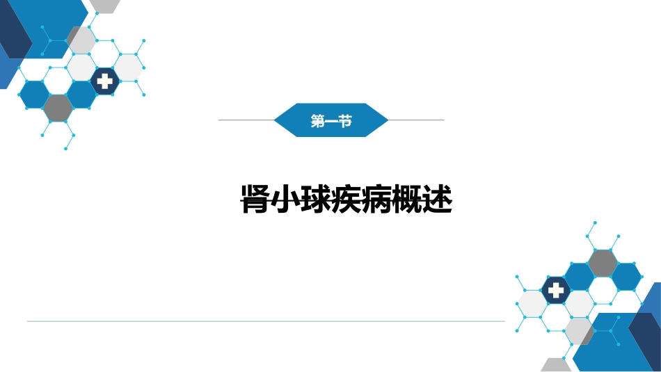 肾内科：原发性肾小球疾病_第4页