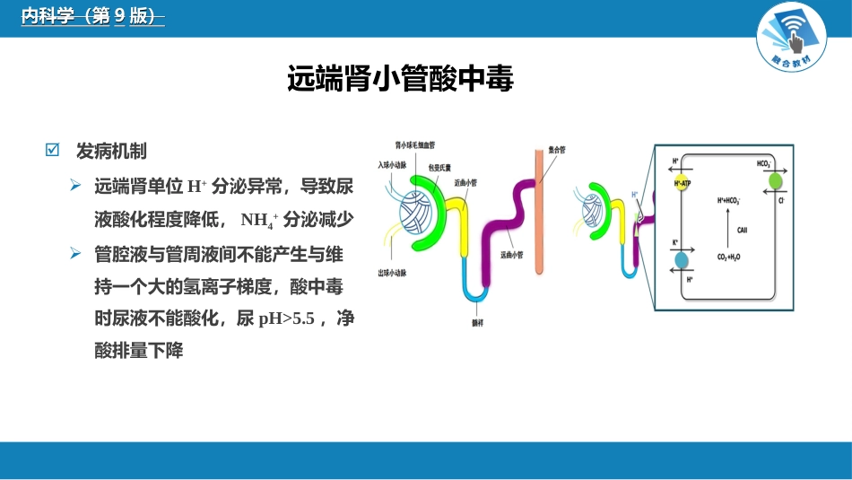 肾内科：肾小管疾病_第8页