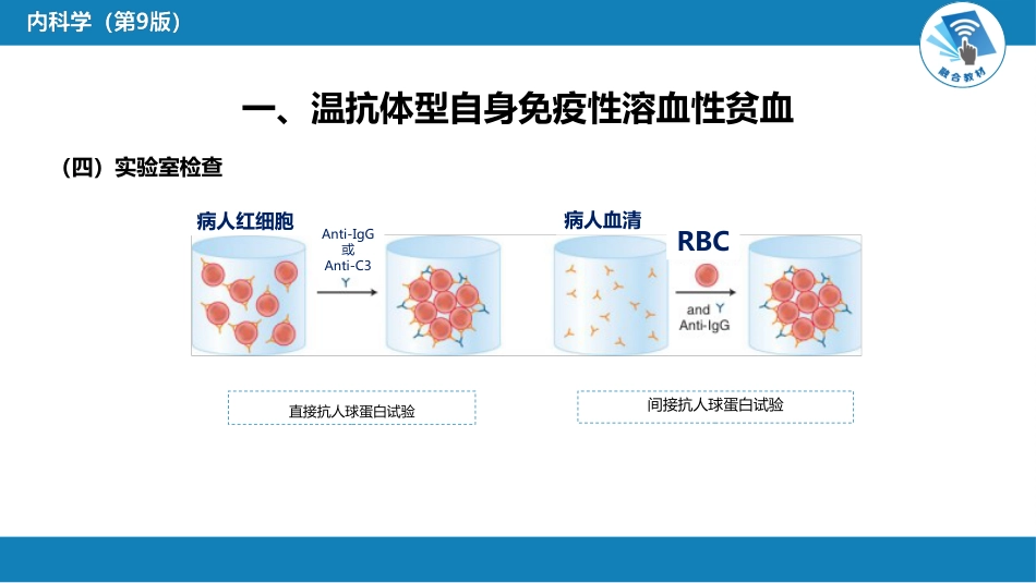 血液科：溶血性贫血（第5-6节）_第12页