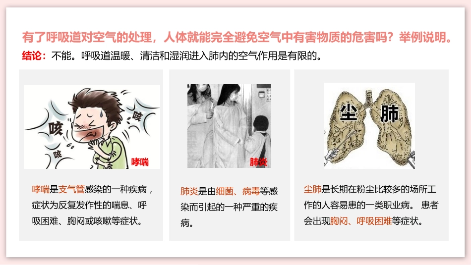 呼吸道对空气的处理_第11页