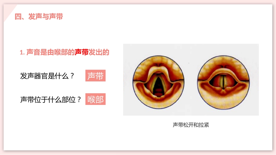 呼吸道对空气的处理_第14页