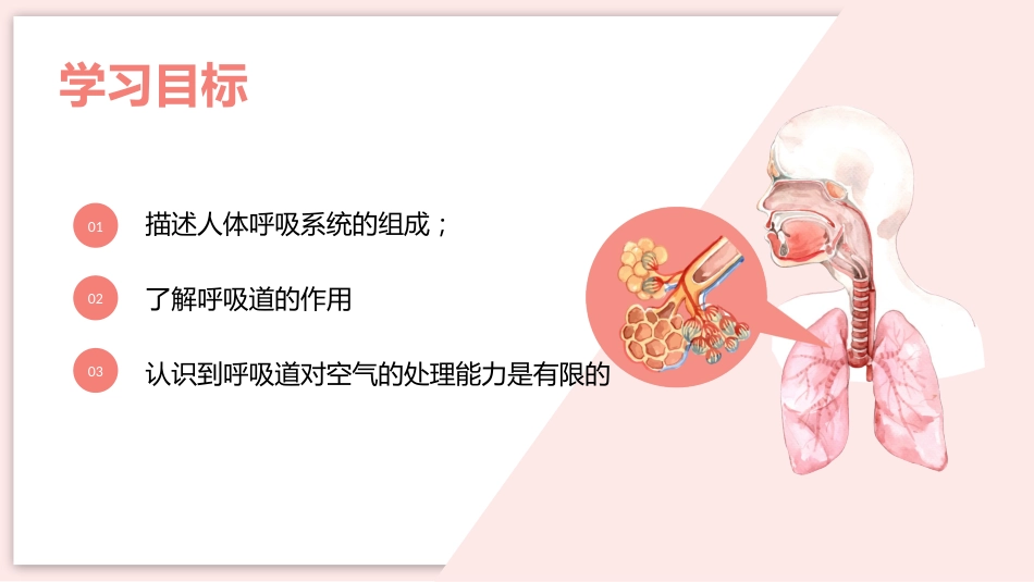 呼吸道对空气的处理_第2页