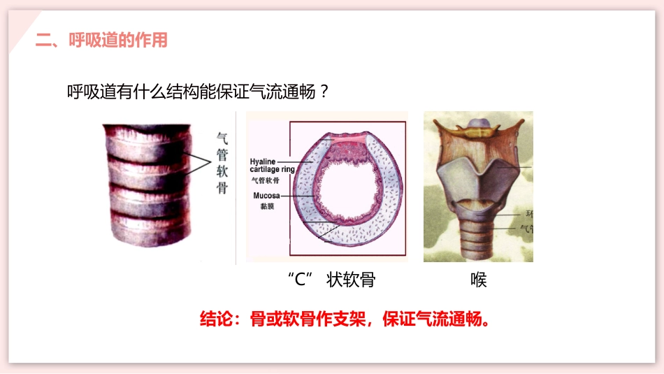 呼吸道对空气的处理_第6页