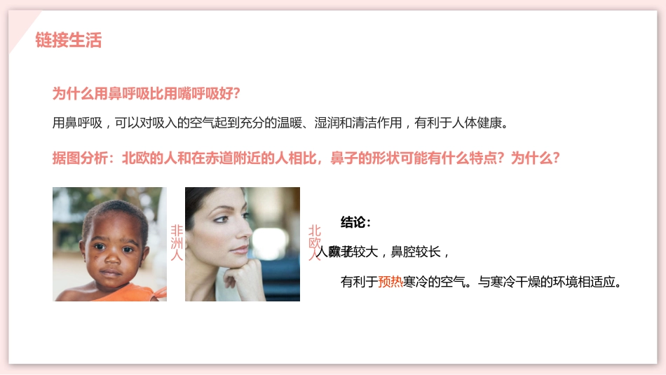呼吸道对空气的处理_第9页