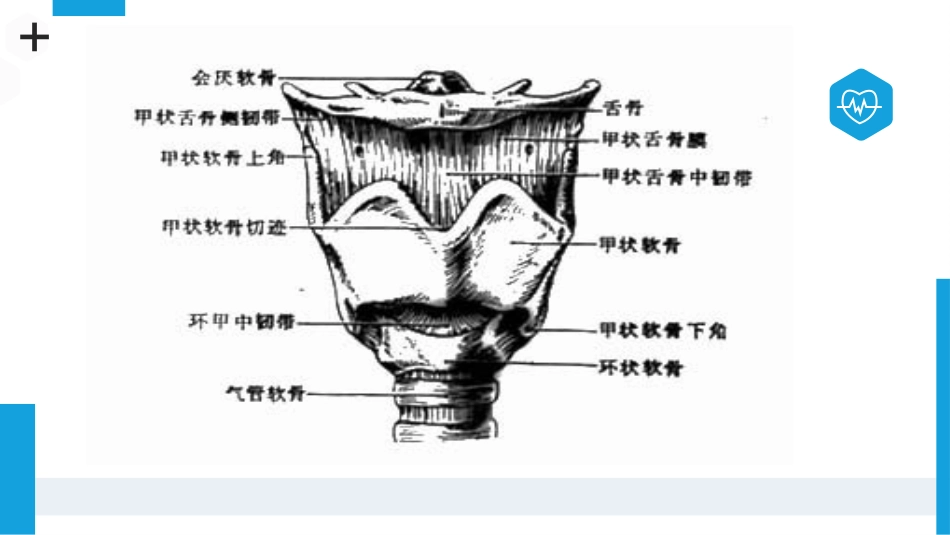 气管切开病人的观察与护理3_第4页
