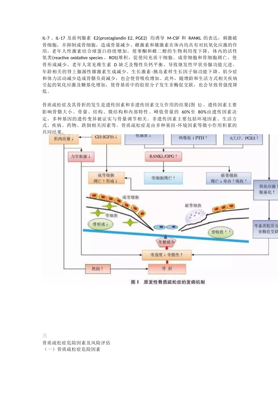 原发性骨质疏松症最新诊疗指南_第3页