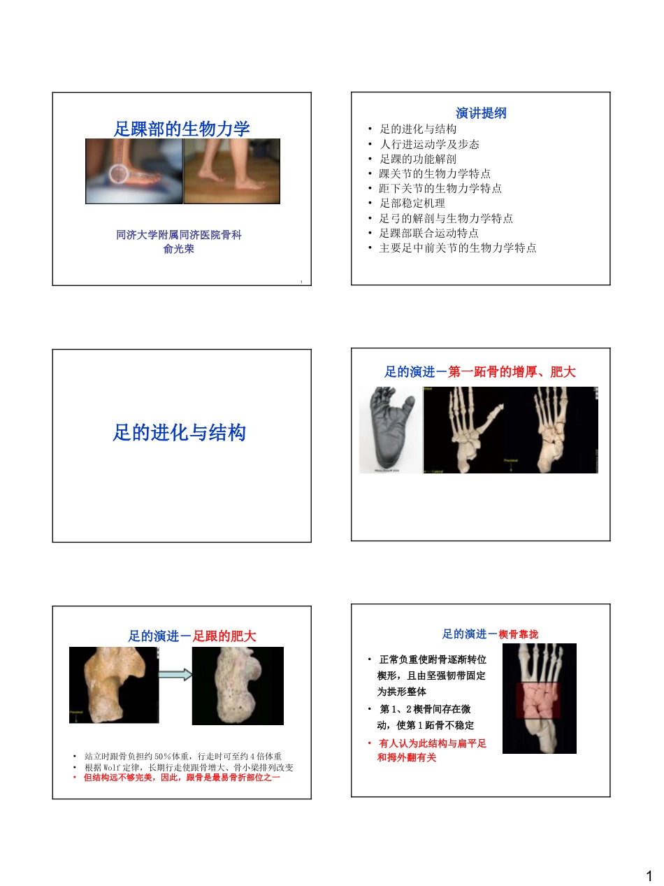 足踝生物力学_第1页