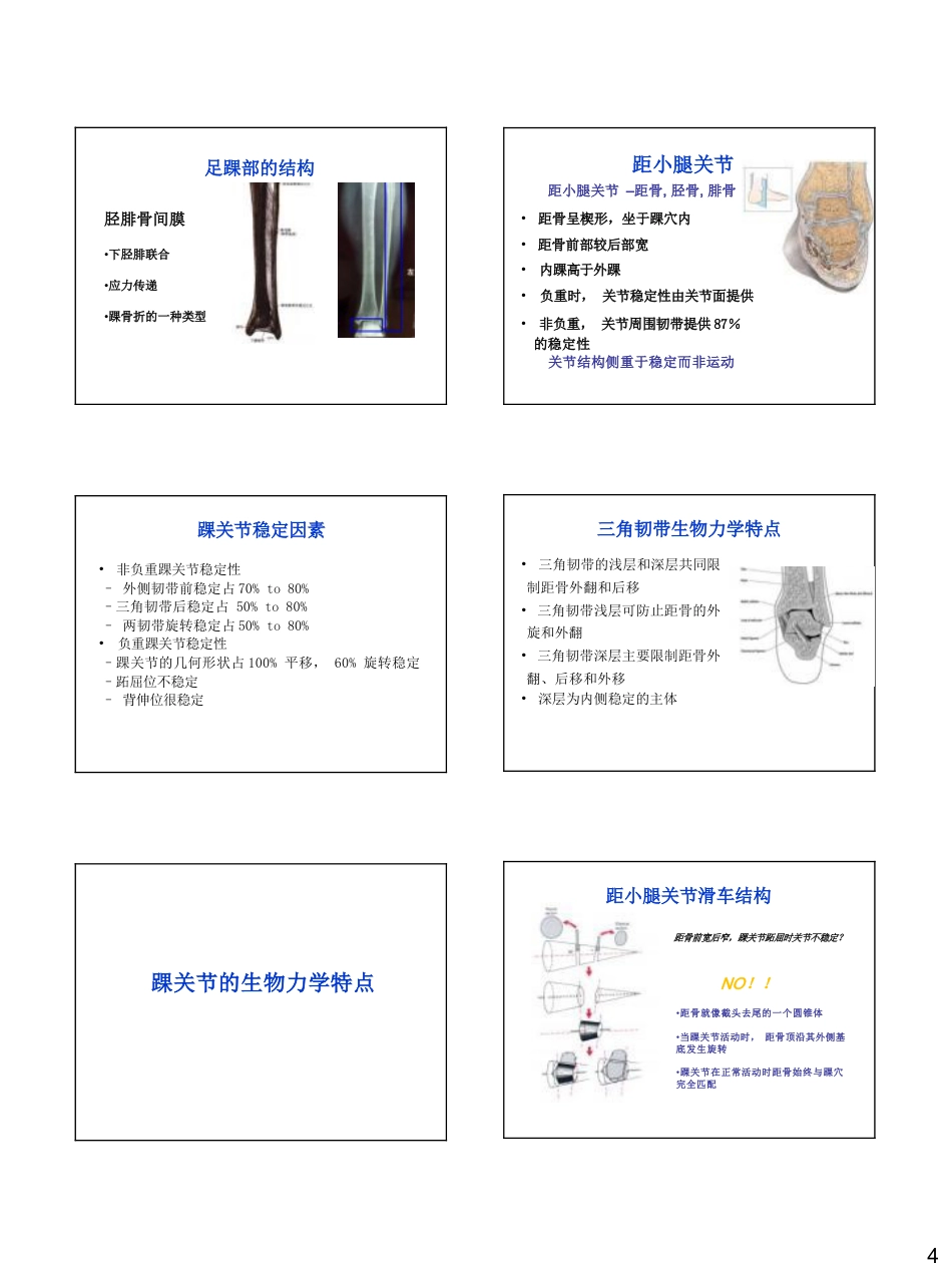 足踝生物力学_第4页