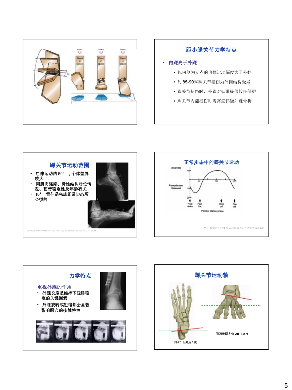 足踝生物力学_第5页