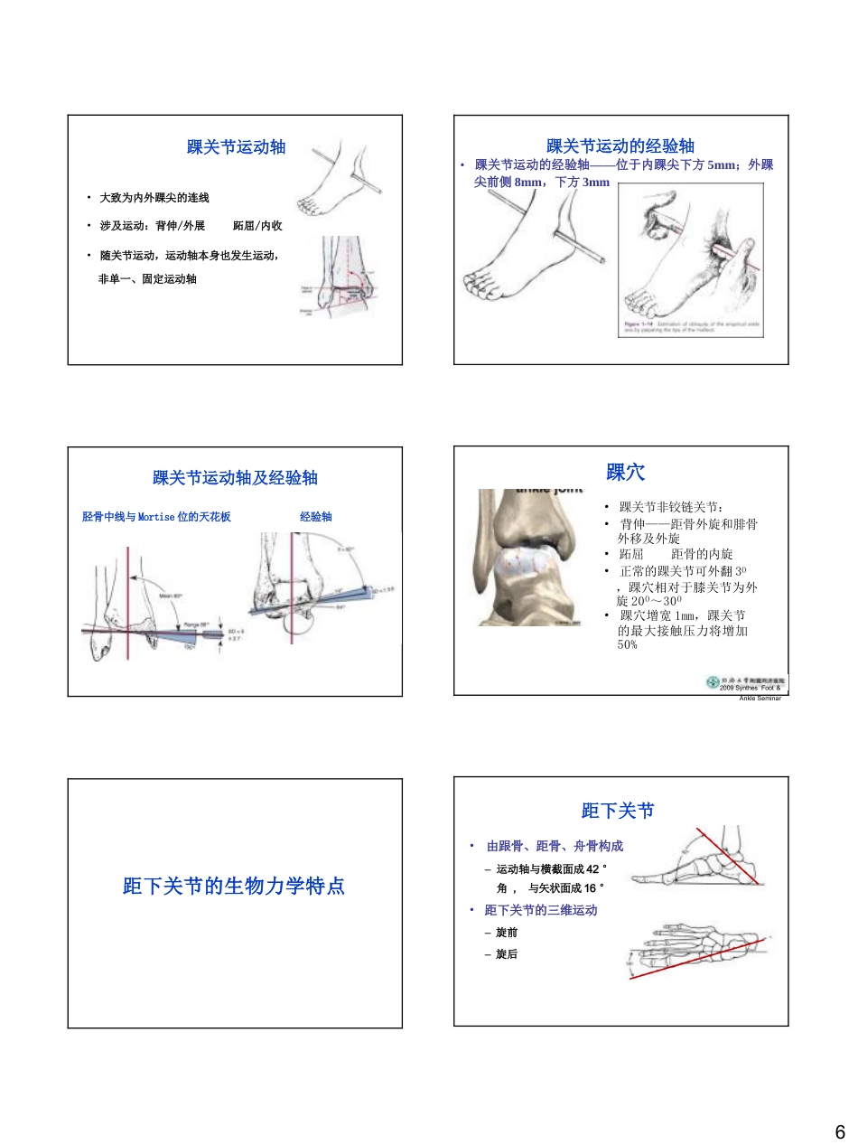 足踝生物力学_第6页