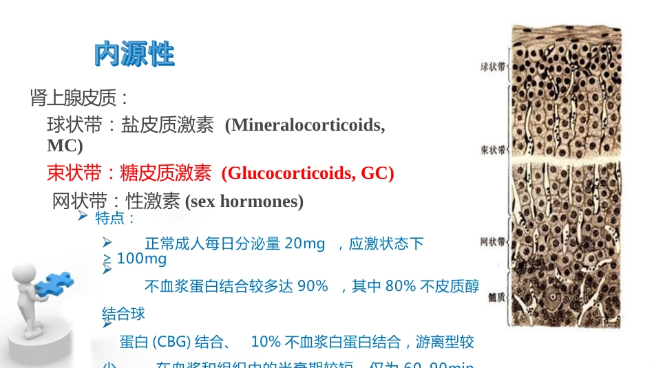 糖皮质激素临床应用基础_第6页