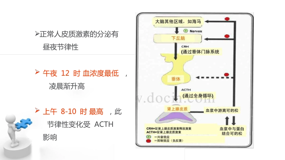 糖皮质激素临床应用基础_第7页