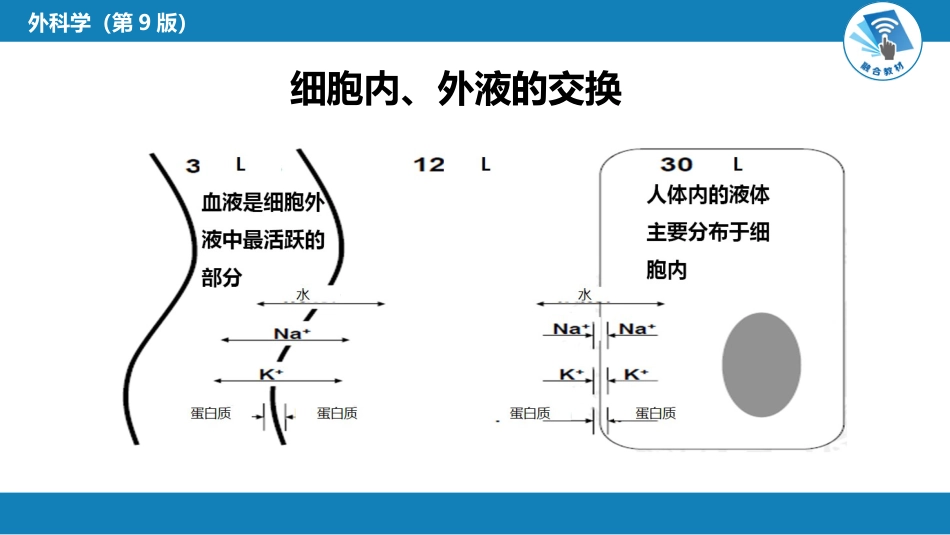 内科学：水、电解质代谢紊乱和酸碱平衡失调_第7页