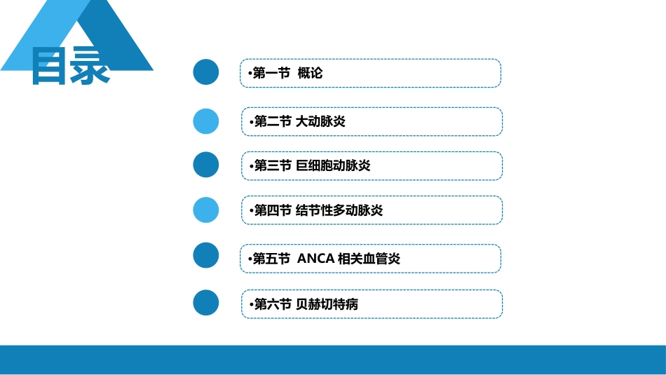 风湿免疫科：原发性血管炎_第2页