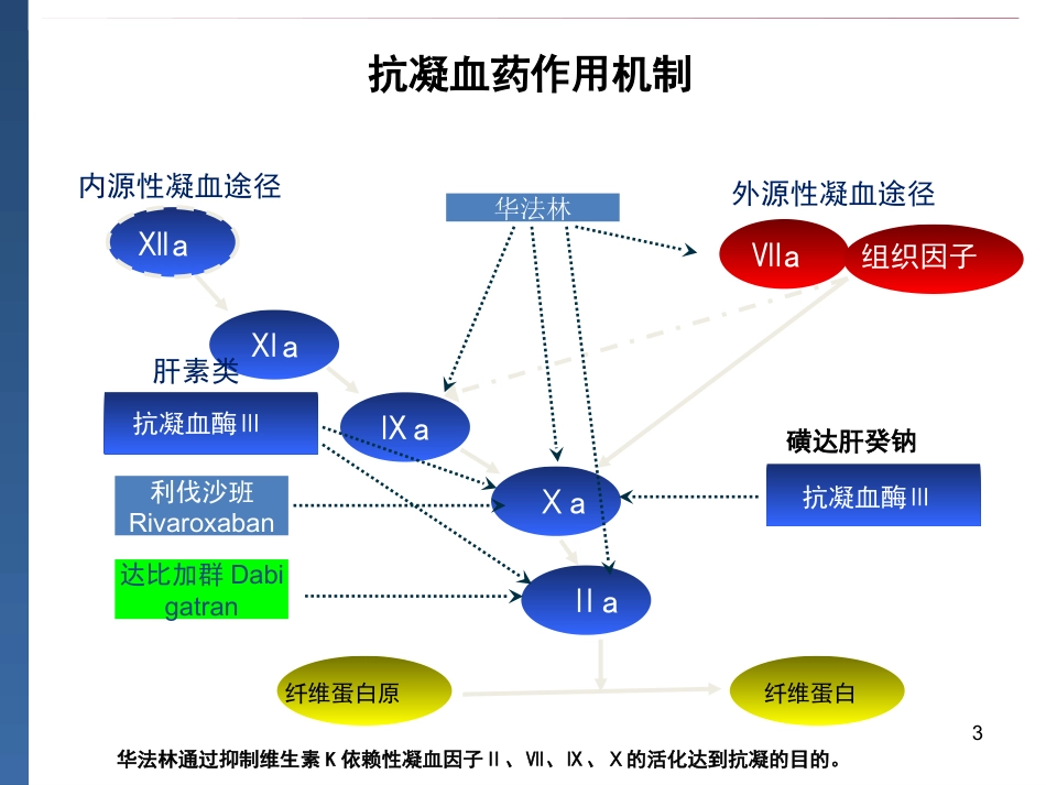 达比加群临床用药建议_第3页