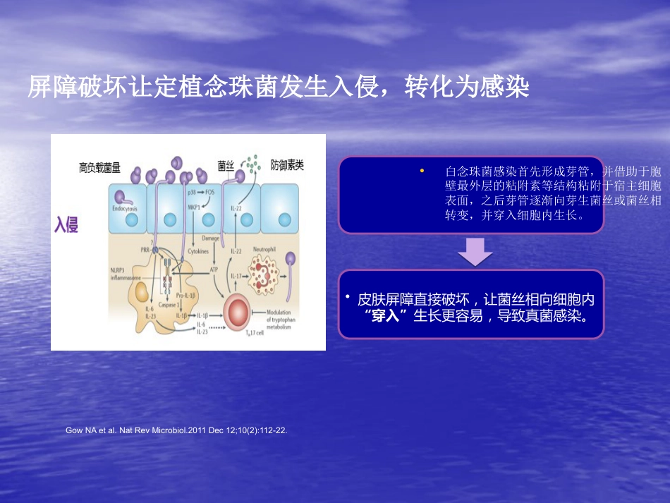 ICU真菌感染特点及治疗策略_第12页