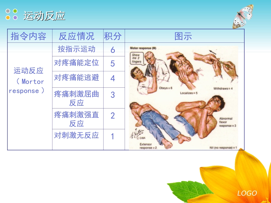 GCS评分格拉斯哥昏迷量表_第11页