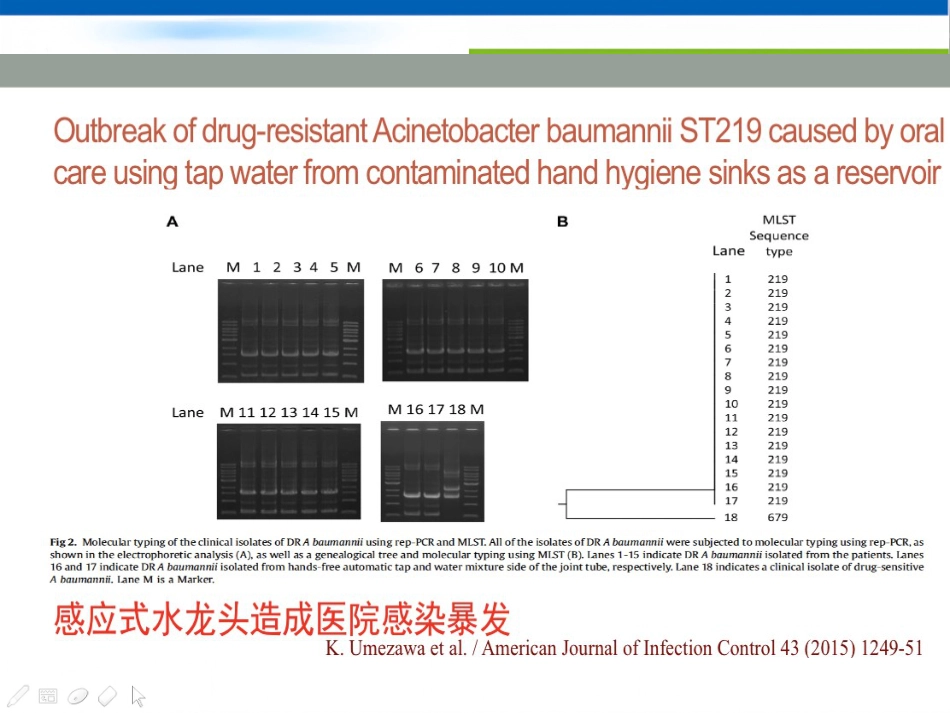 CRE的医院感染防控新策略_第9页