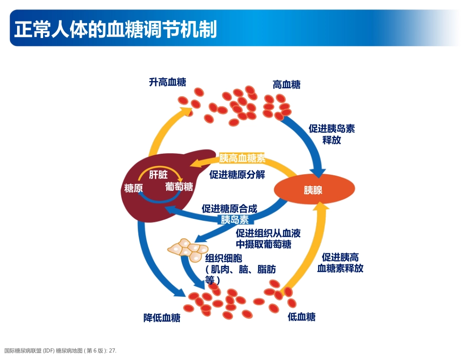 内科学：低血糖的预防及处理_第5页