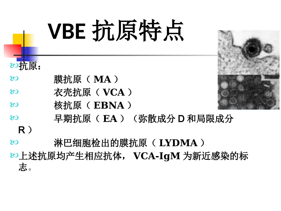 EB病毒感染与相关疾病_第5页