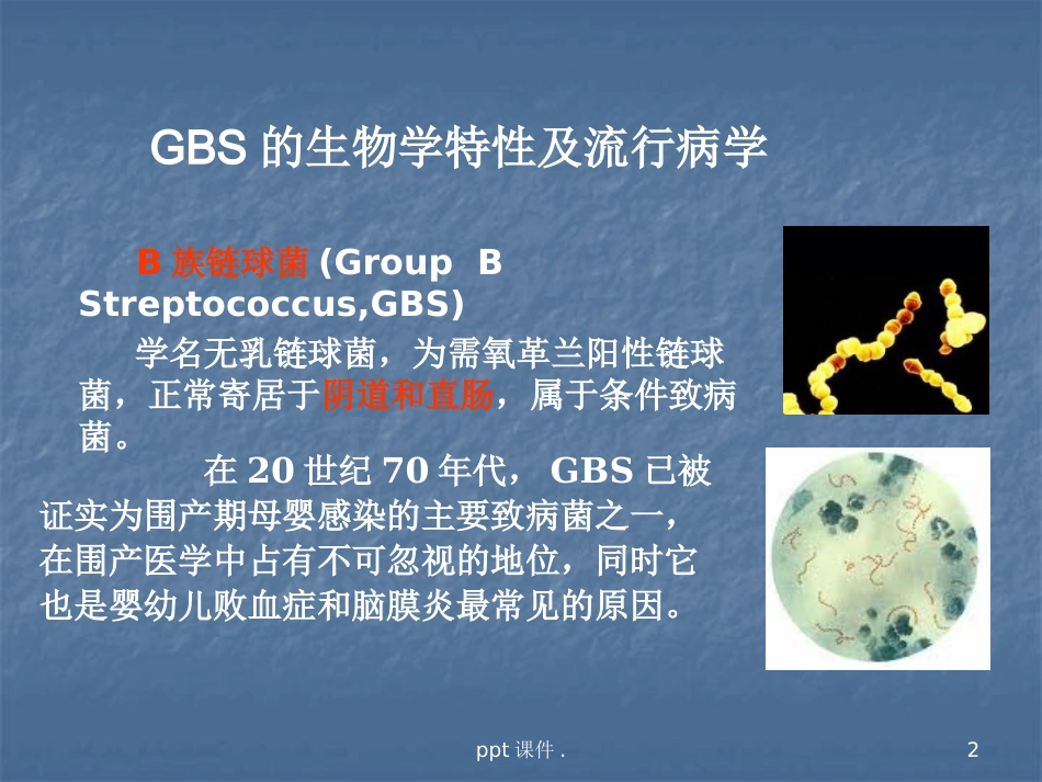B族链球菌感染对母儿的影响ppt课件_第2页