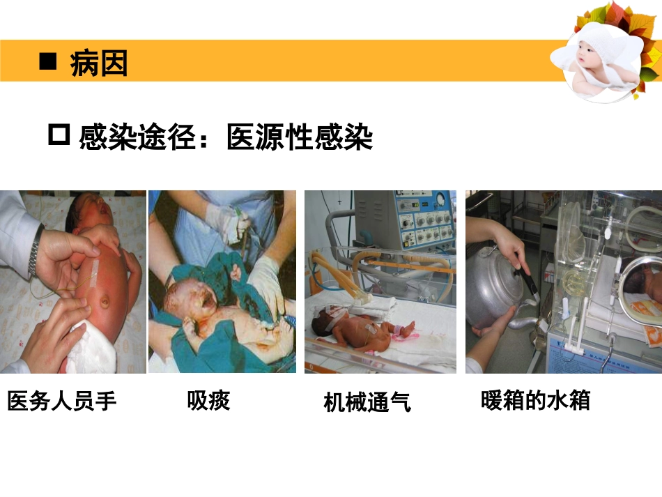 2019上8新生儿败血症_第10页