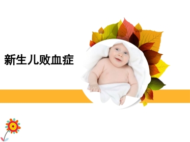 2019上8新生儿败血症