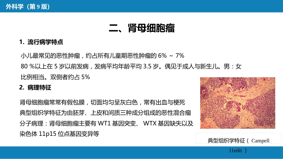泌尿、男生殖系统肿瘤 第一、二节_第11页