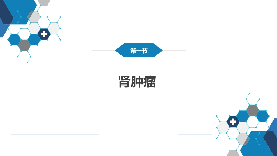 泌尿、男生殖系统肿瘤 第一、二节_第4页
