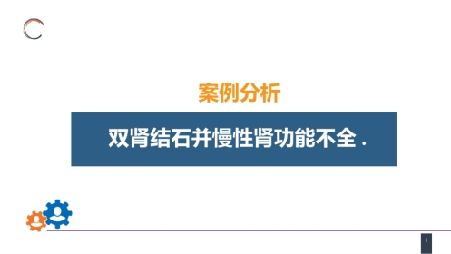 案例分析-双肾结石并慢性肾功能不全