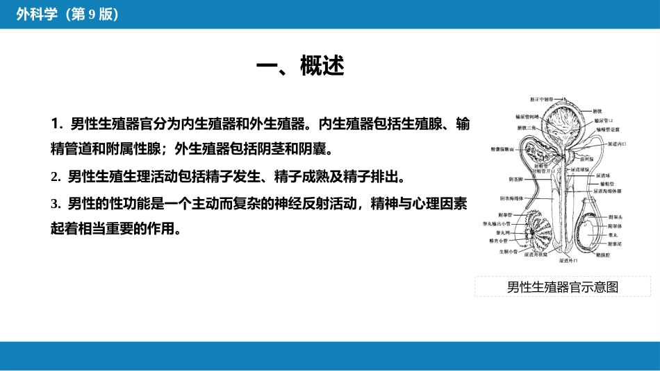 男性性功能障碍、不育和节育_第5页