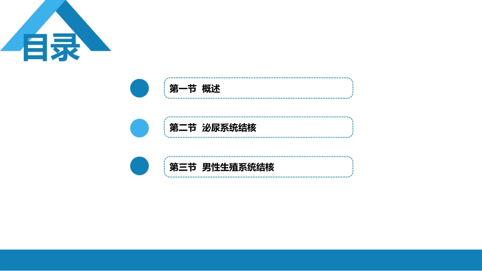 泌尿、男生殖系统结核_第2页