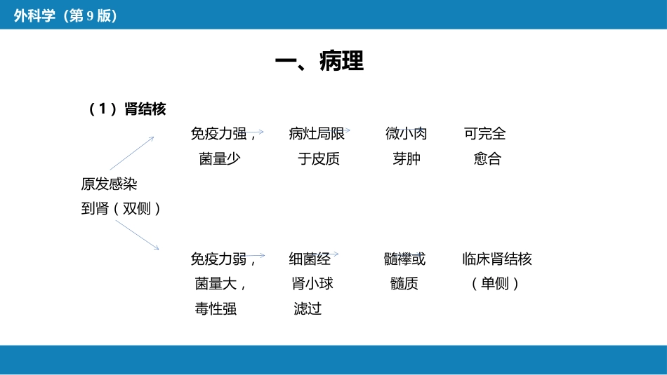 泌尿、男生殖系统结核_第7页