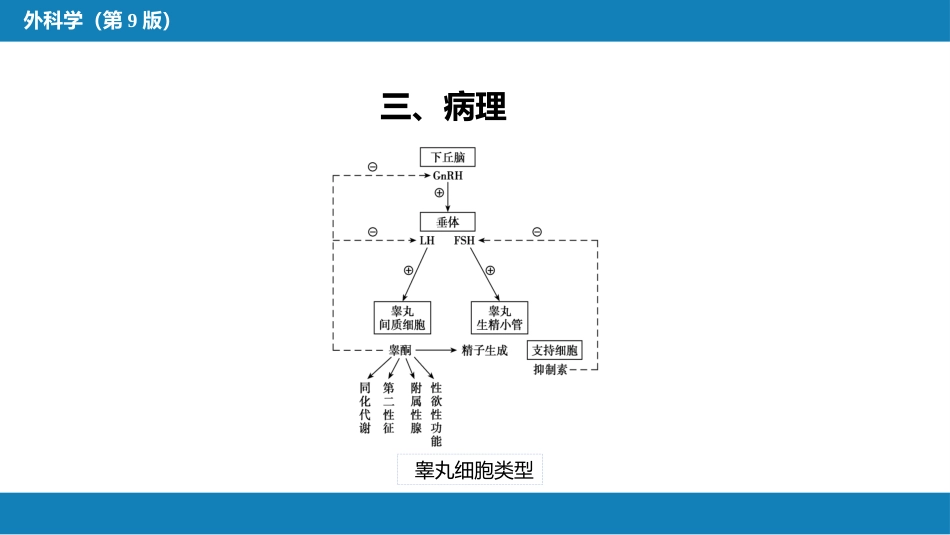 泌尿、男生殖系统肿瘤 第三、四、五、六节_第15页