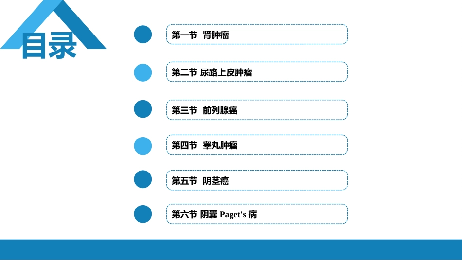 泌尿、男生殖系统肿瘤 第三、四、五、六节_第2页
