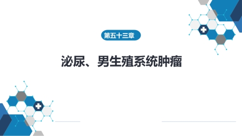 泌尿、男生殖系统肿瘤 第三、四、五、六节