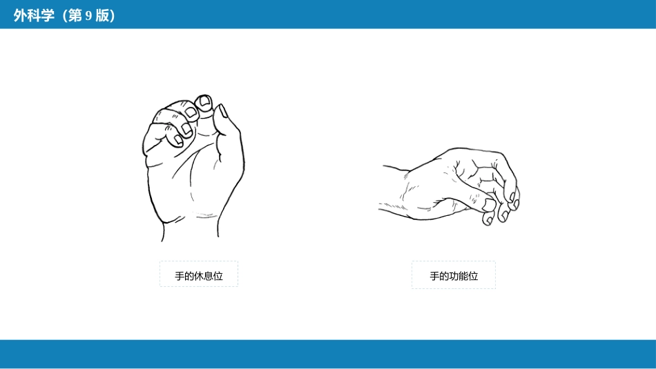 手外伤及断肢（指）再植_第5页