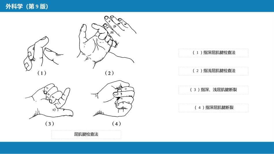 手外伤及断肢（指）再植_第9页