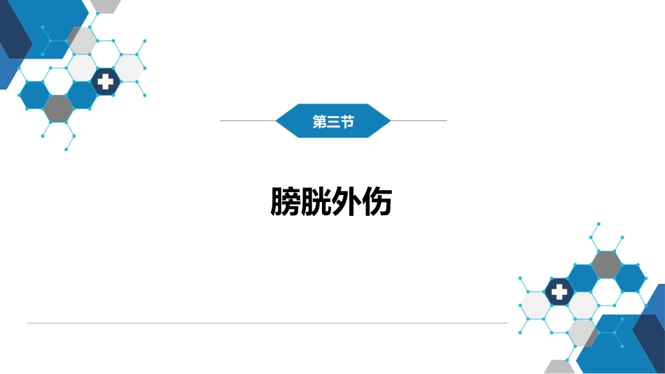 泌尿系统外伤_第10页