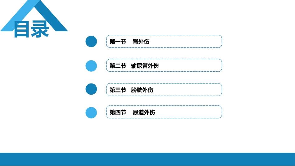泌尿系统外伤_第2页