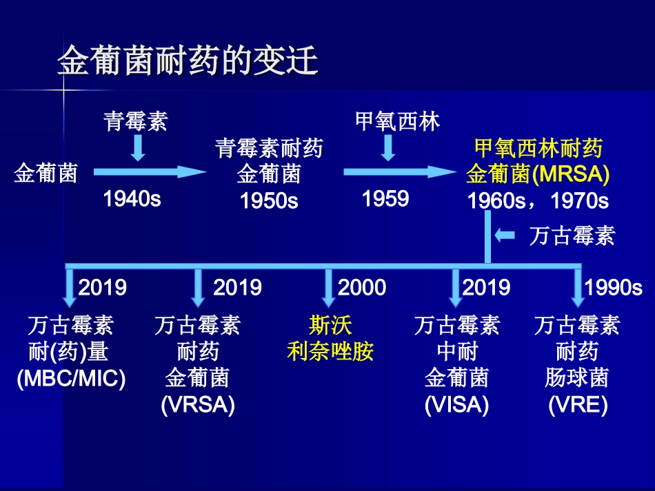MRSA感染治疗_第3页