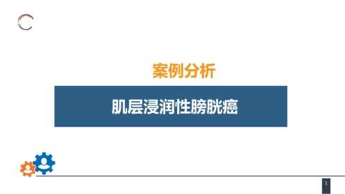 泌尿、男生殖系统肿瘤 案例分析-膀胱癌