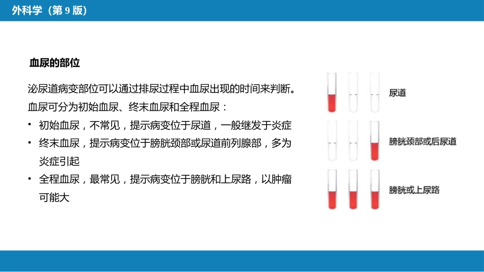 血尿的病因分析_第4页