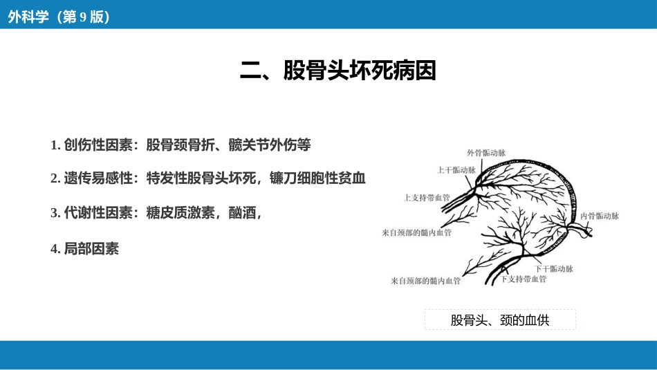 股骨头坏死_第5页