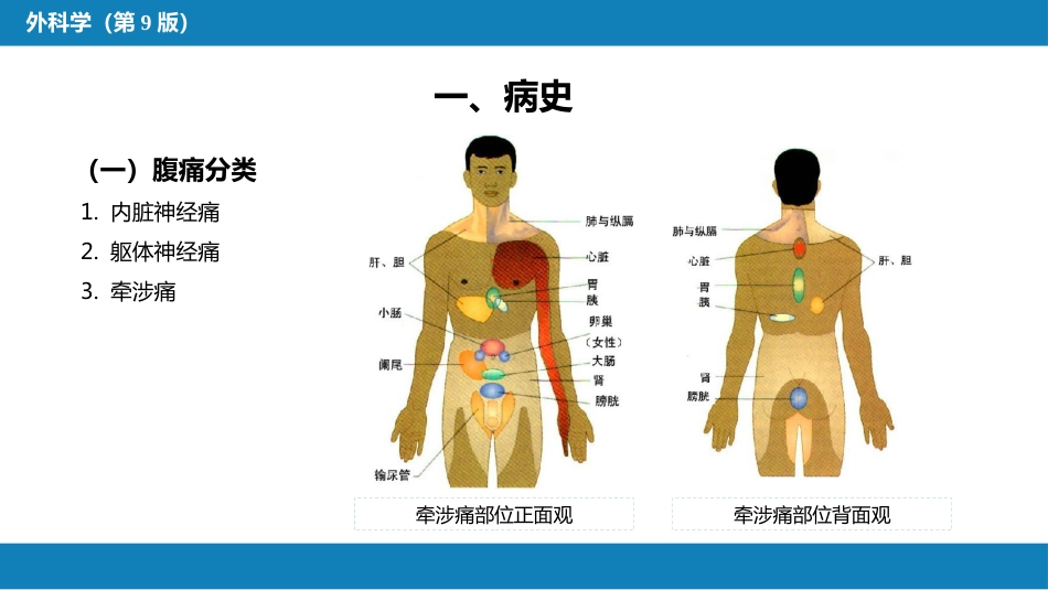 急腹症的诊断与鉴别诊断_第3页