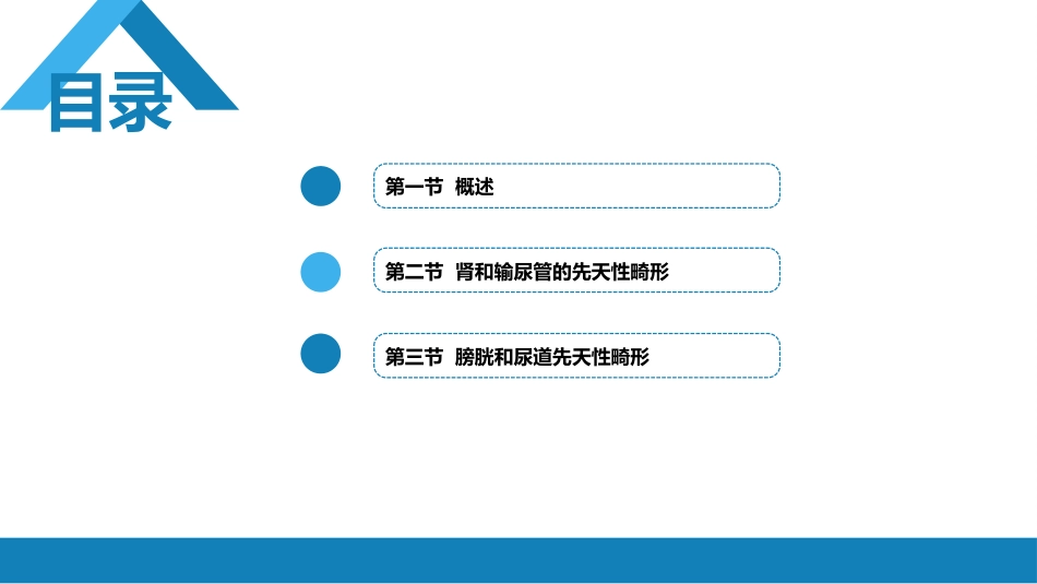 泌尿、男生殖系统先天性畸形_第2页